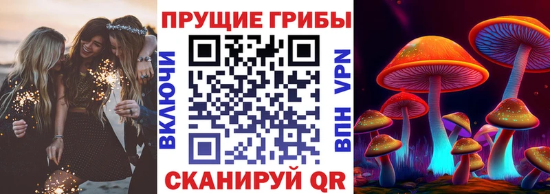 Псилоцибиновые грибы мицелий  Купить где  Кудрово 